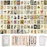 100 Stück Vintage Wall Collage Kit, Vintage Poster Ästhetisches Bild für Schlafzimmer/Wohnheim-Wanddekoration (200 Bilder)