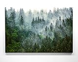 Atemberaubendes Leinwandbild Wald im XXL Format 120x80cm. Das Motiv Nebelstimmung als großes Wandbild. Fertig aufgespannt auf Holzrahmen. Als Hintergrund und Deko für Wohnzimmer & Schlafzimmer