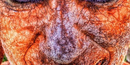 Klaus Frank - Ton auf Haut