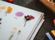 Herbarium Kreativität mit Blumen