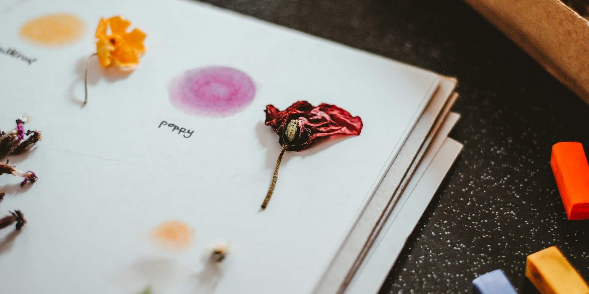 nik-uU1dQJwLUSQ-unsplash Herbarium Kreativität mit Blumen