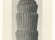 Karl Blossfeldt, Equisetum hiemale: stark vergrößerte Schachtelhalm-Triebe, die wie Säulen wirken