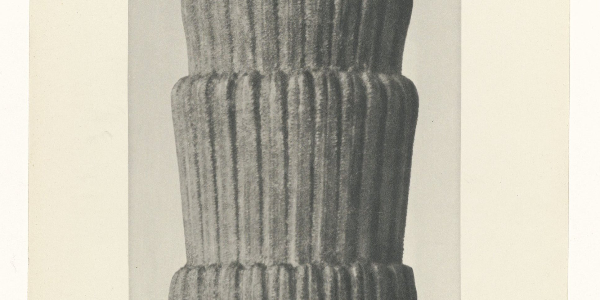 Karl Blossfeldt, Equisetum hiemale: stark vergrößerte Schachtelhalm-Triebe, die wie Säulen wirken
