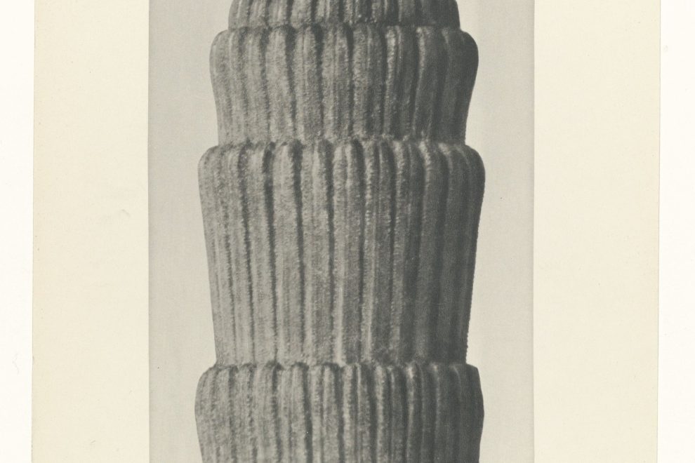 Karl Blossfeldt, Equisetum hiemale: stark vergrößerte Schachtelhalm-Triebe, die wie Säulen wirken